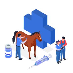 Equine Medicine