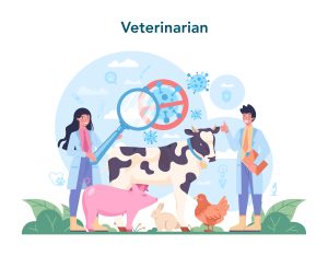 large animal veterinarians