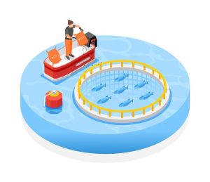 Aquaculture